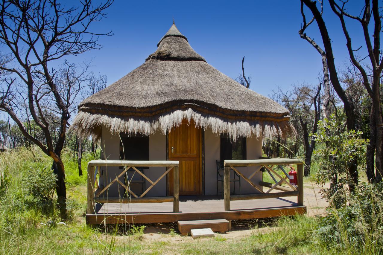 Wildside Safari Camp Villa Golders Green Exterior foto
